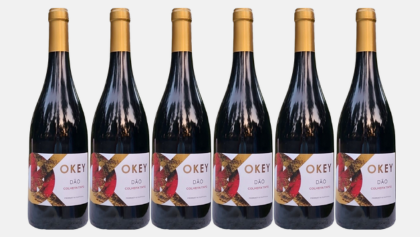 Vinho Tinto D.O.C. Dão OKEY 2023